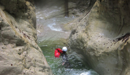 IMG_4201