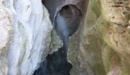 DSC00102