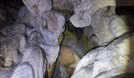 DSC00301