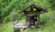 DSC03005
