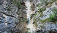 DSC03136