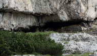 DSC03791