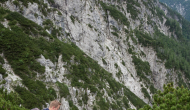 DSC03904