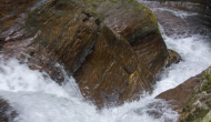 DSC03940