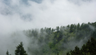 DSC04003