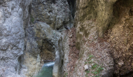 DSC04692