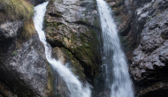 DSC01284