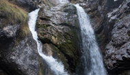 DSC01288
