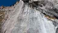 DSC00732