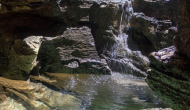 DSC01750