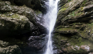 DSC02650