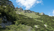 DSC03200