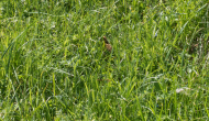 DSC03209