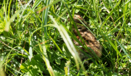 DSC03210