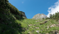 DSC03247