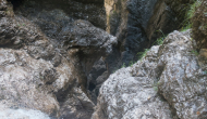 DSC03686