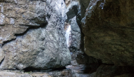 DSC03718