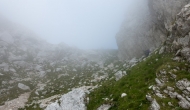 21-DSC04431