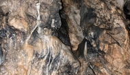 20-DSC04656