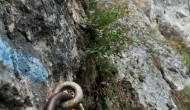 26-DSC04666