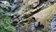 05-DSC04800