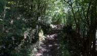 03-DSC04714