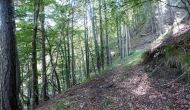 12-DSC04730