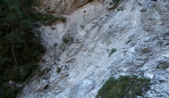 14-DSC04736
