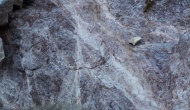 15-DSC04738