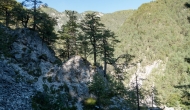 18-DSC04743