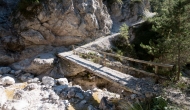 29-DSC04764