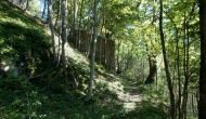 31-DSC04768