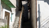 36-DSC04774