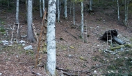 44-DSC04787
