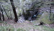 45-DSC04788