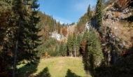 02-DSC05033