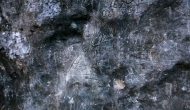 11-DSC05047