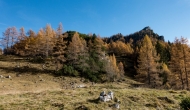 15-DSC05052