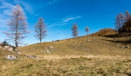 16-DSC05053