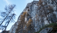 25-DSC05065