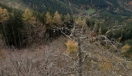 11-DSC05086