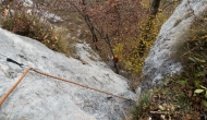 12-DSC05087