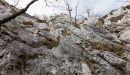 14-DSC05091