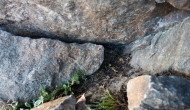 04-DSC05144