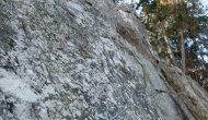 07-DSC05147