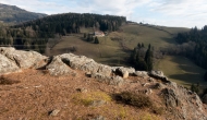 08-DSC05150
