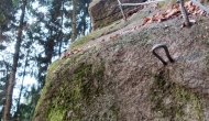 11-DSC05155