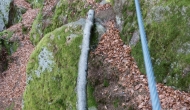 17-DSC05166