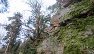 18-DSC05167