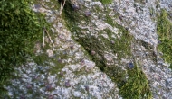 20-DSC05171